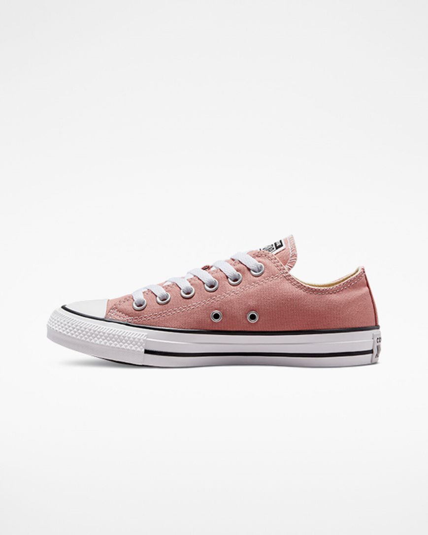 Zapatillas Bajas Converse Chuck Taylor All Star Seasonal Color Mujer Rosas | PE 240W7E